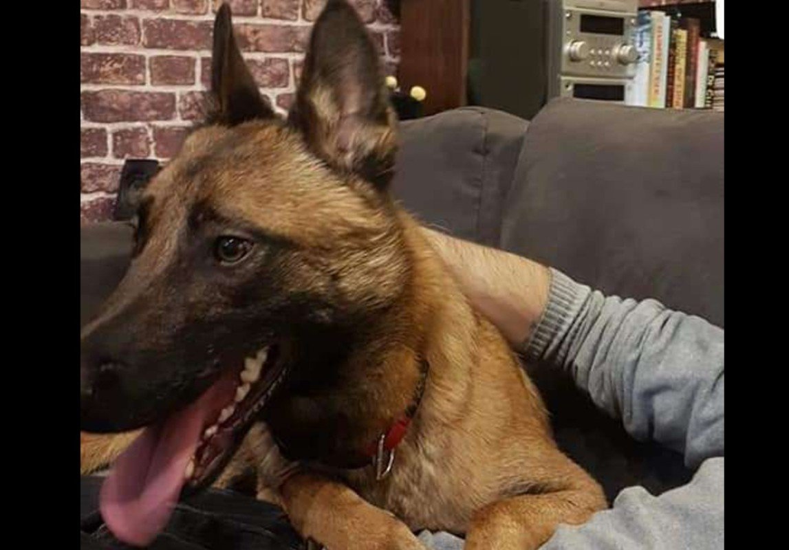 Max