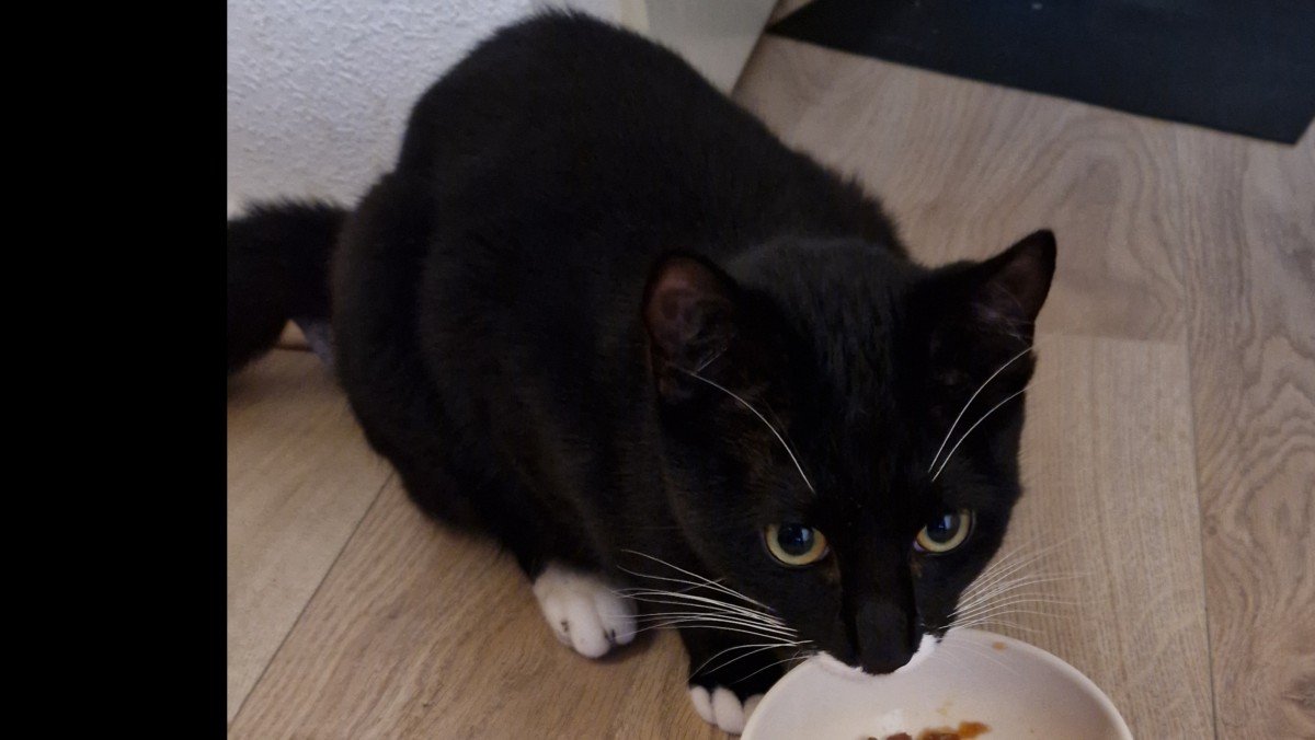 Pukkie