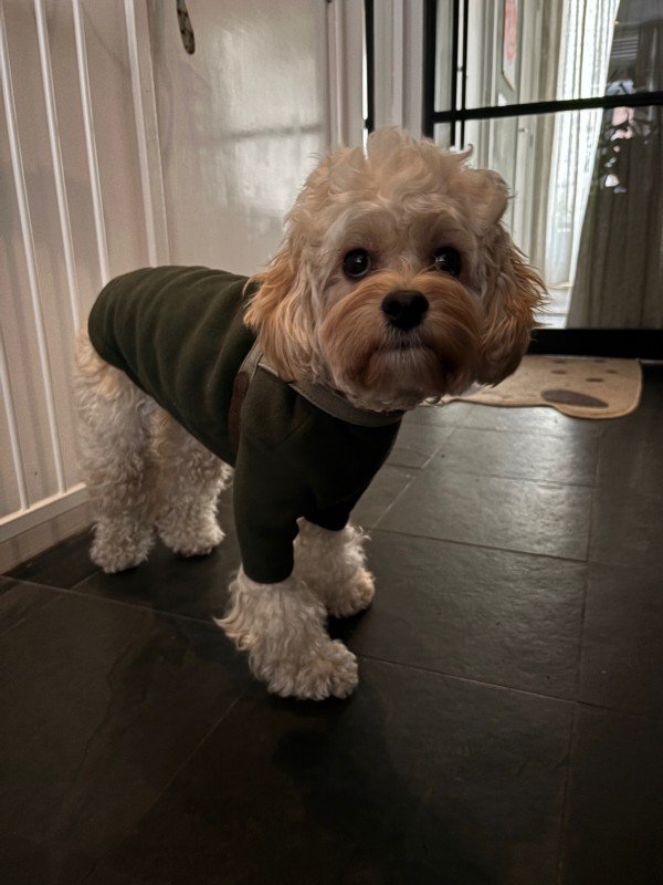 Milo