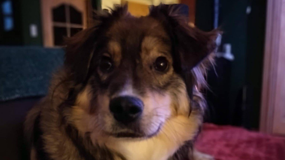 Simi