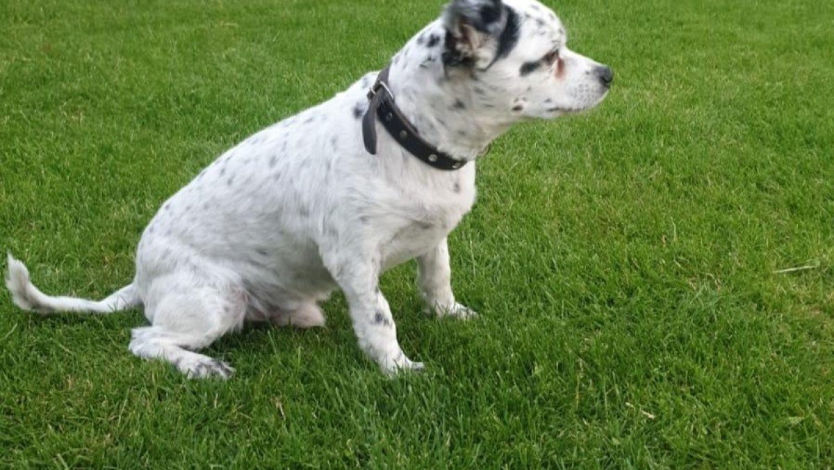 Chester