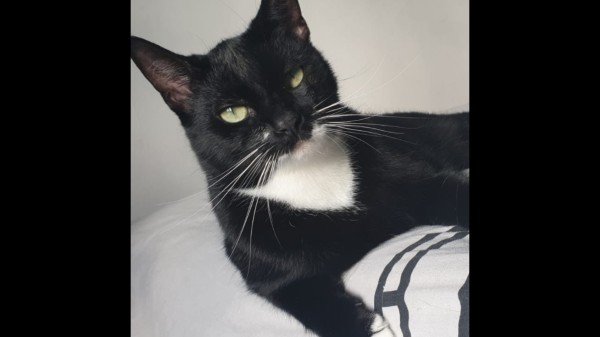 Luna