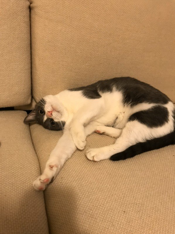 George