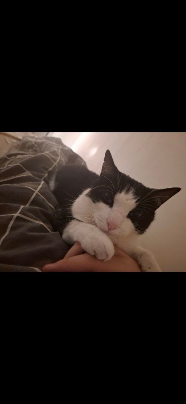 Mimi