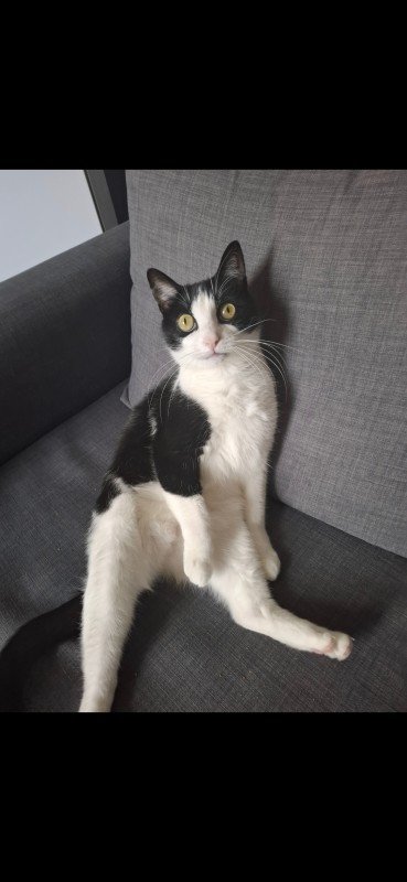 Mimi