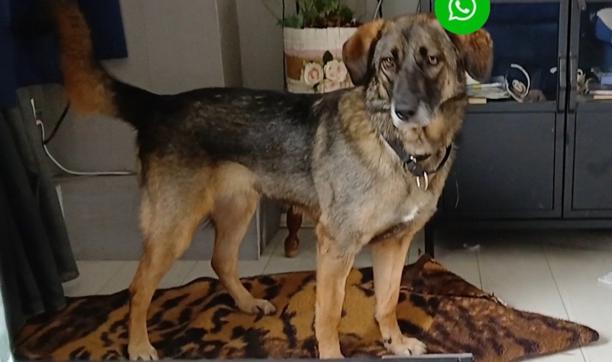Roxy