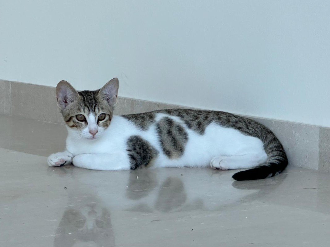 Max