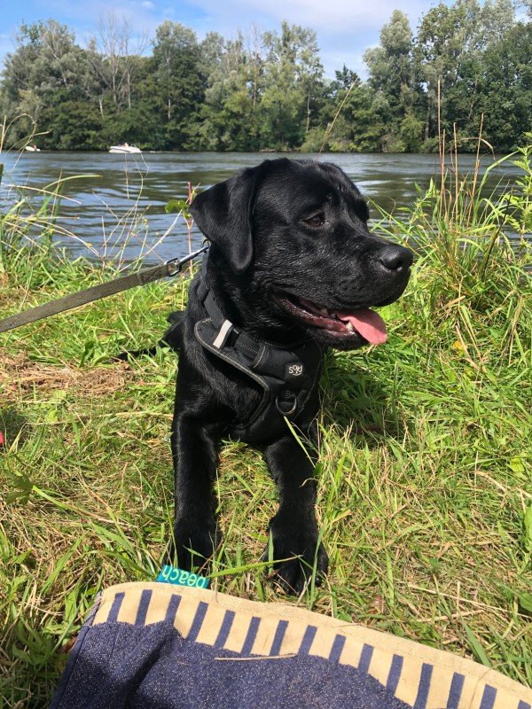 Jax