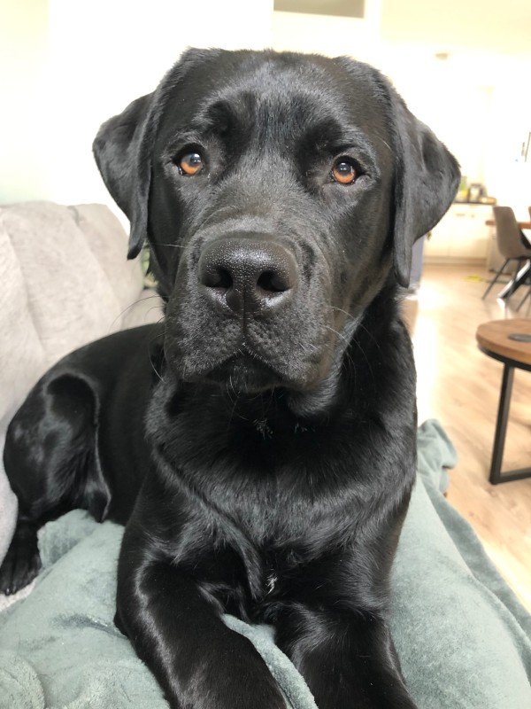 Jax