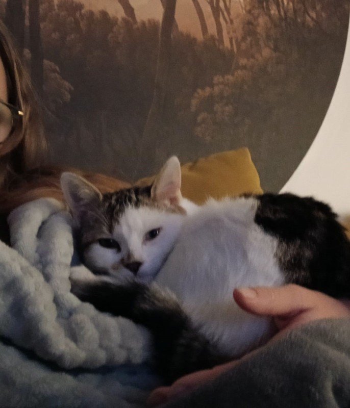 Milo
