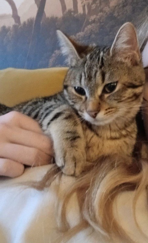 Zora