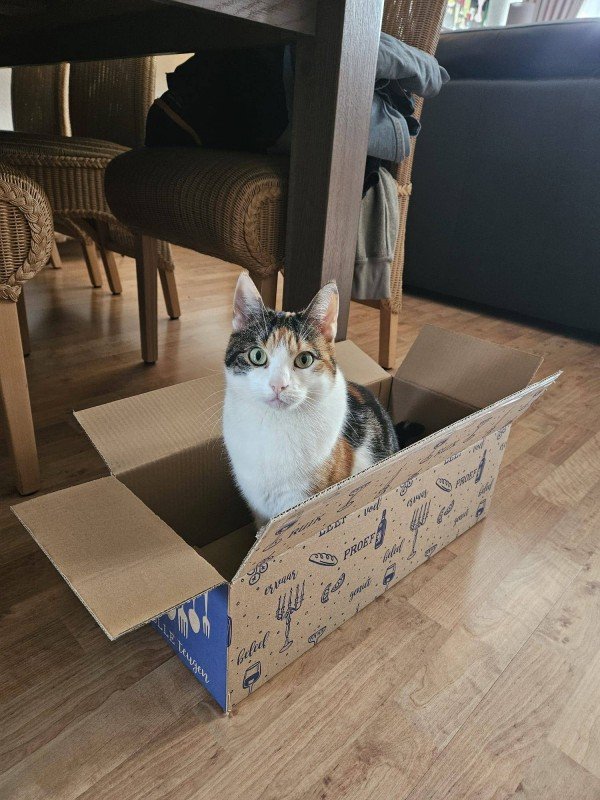Luna
