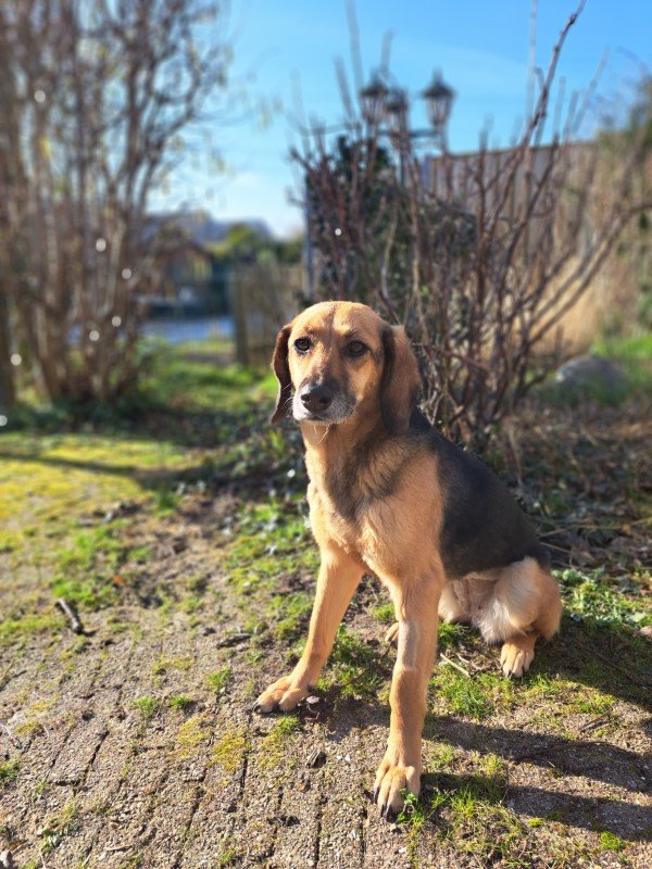 Sofie
