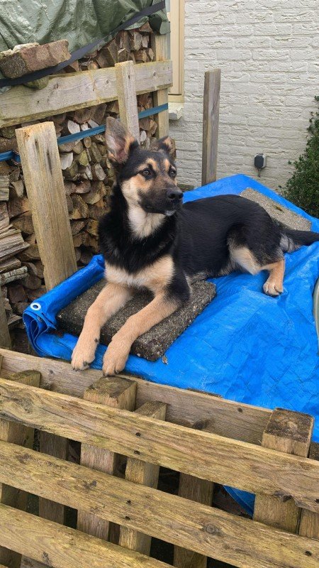 Kato