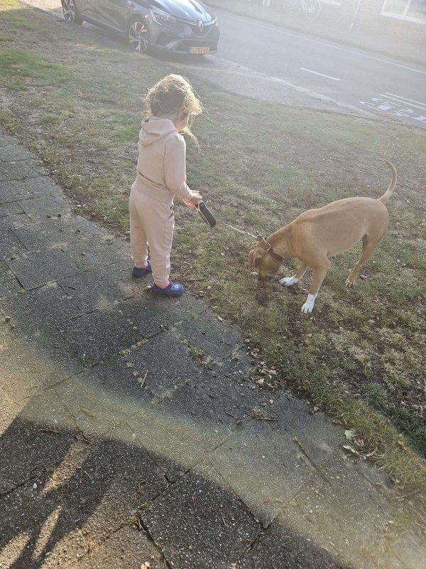 Barkie