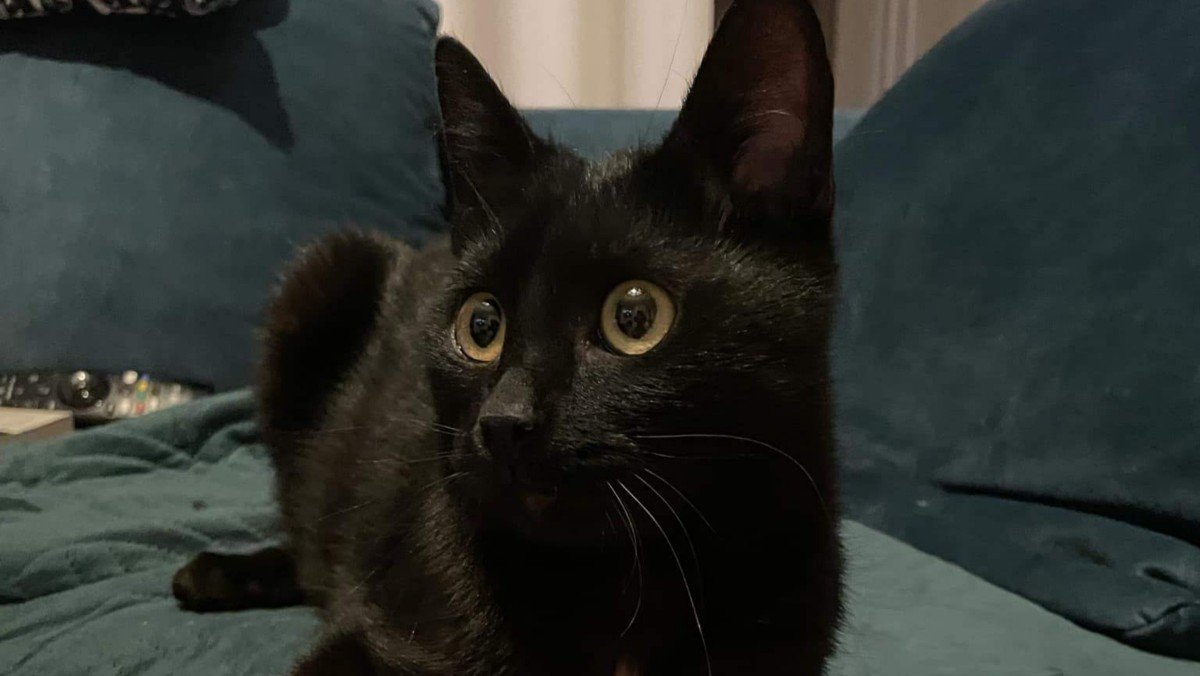 Binx