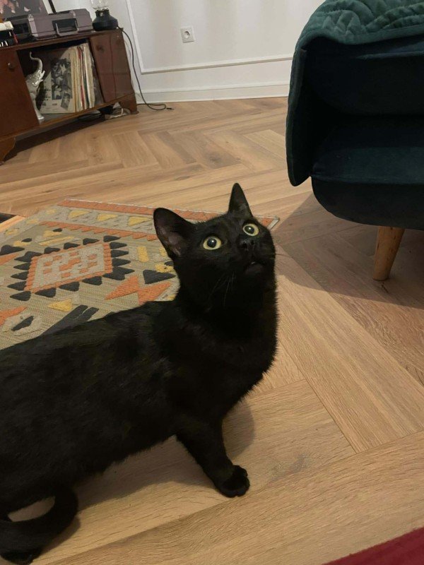 Binx