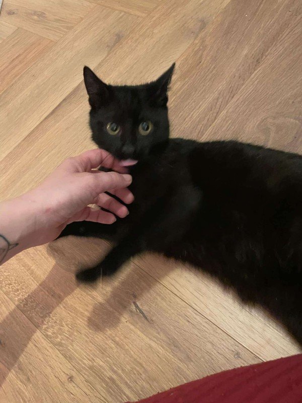 Binx