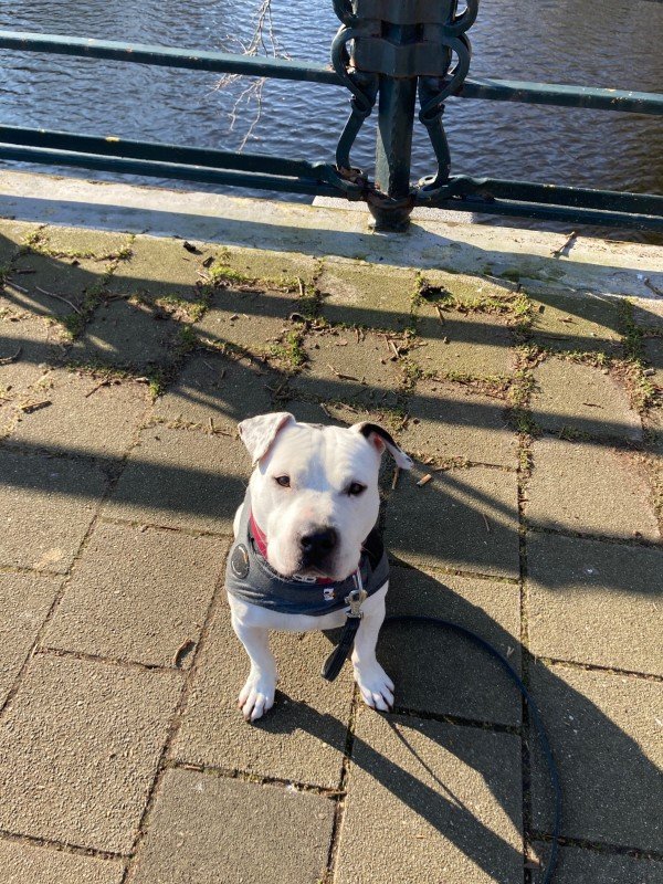 Tyson