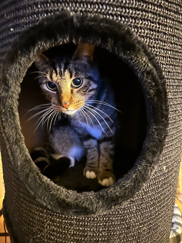 Max
