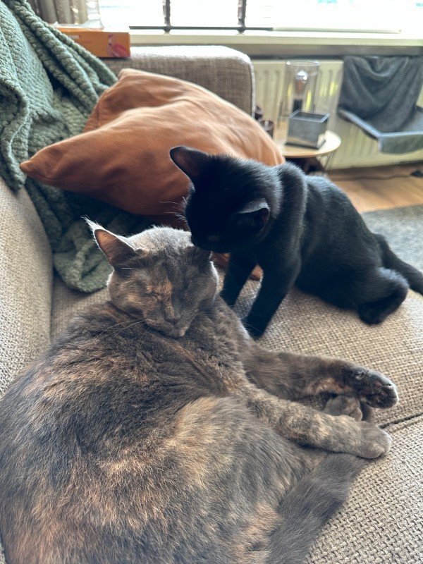 Billy + Holly