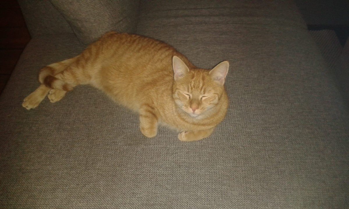 Milo