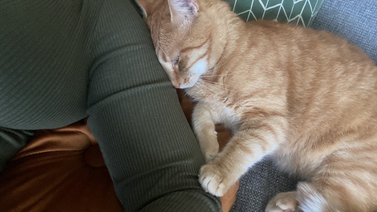 Milo