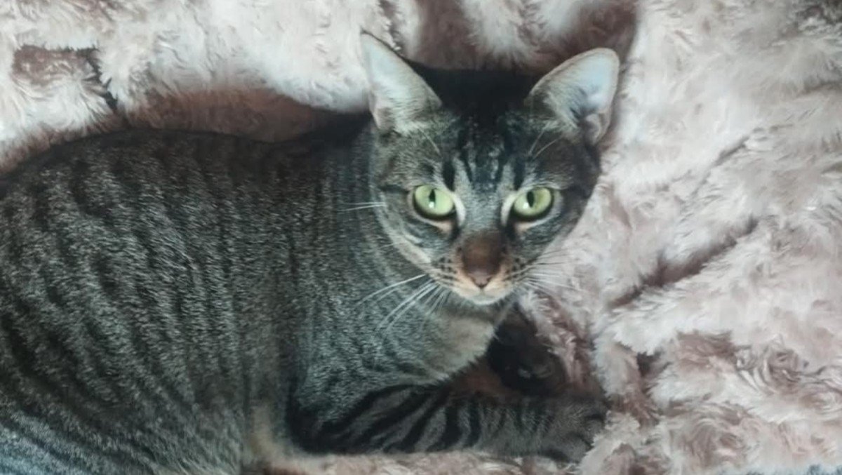 Mia