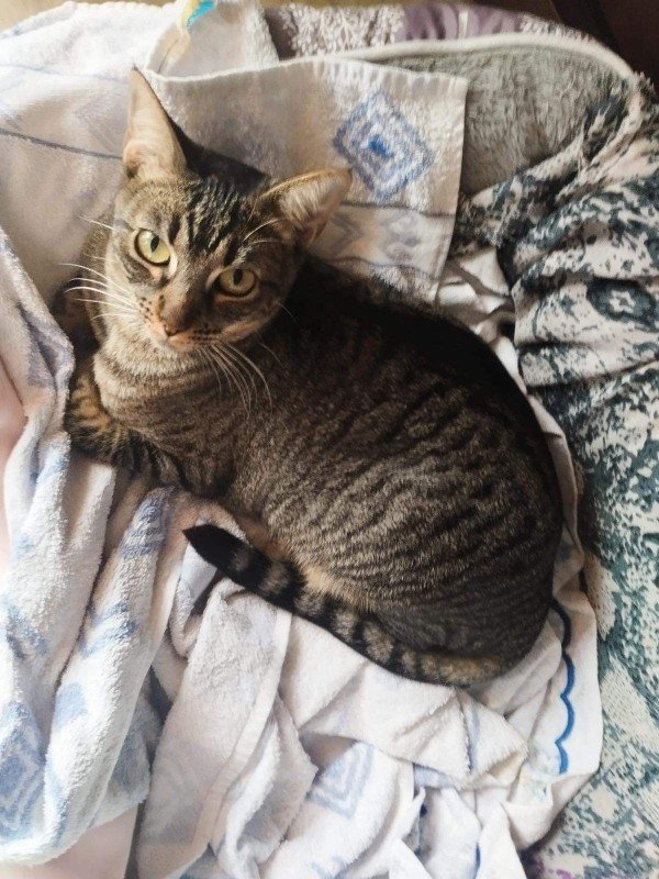 Mia