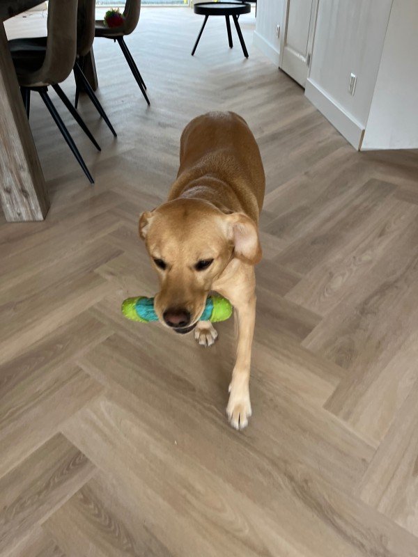 Coco