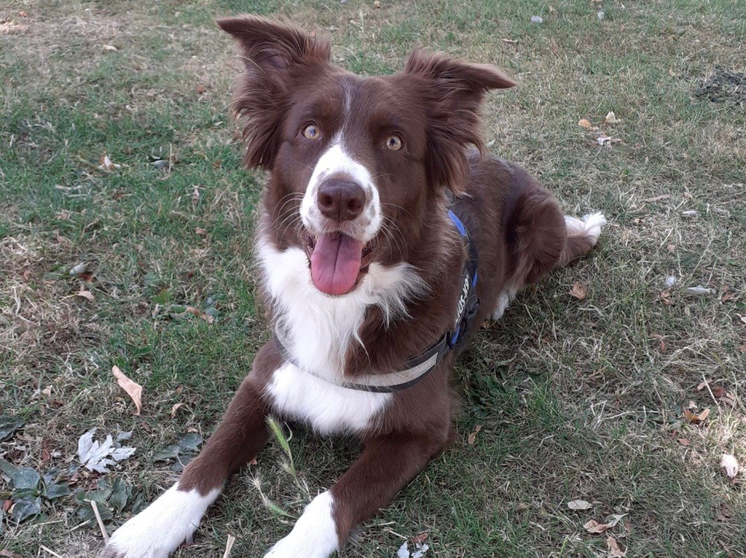 Sam