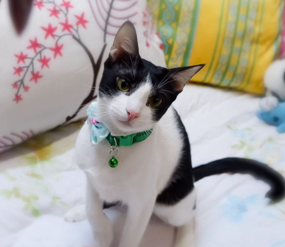 Millie