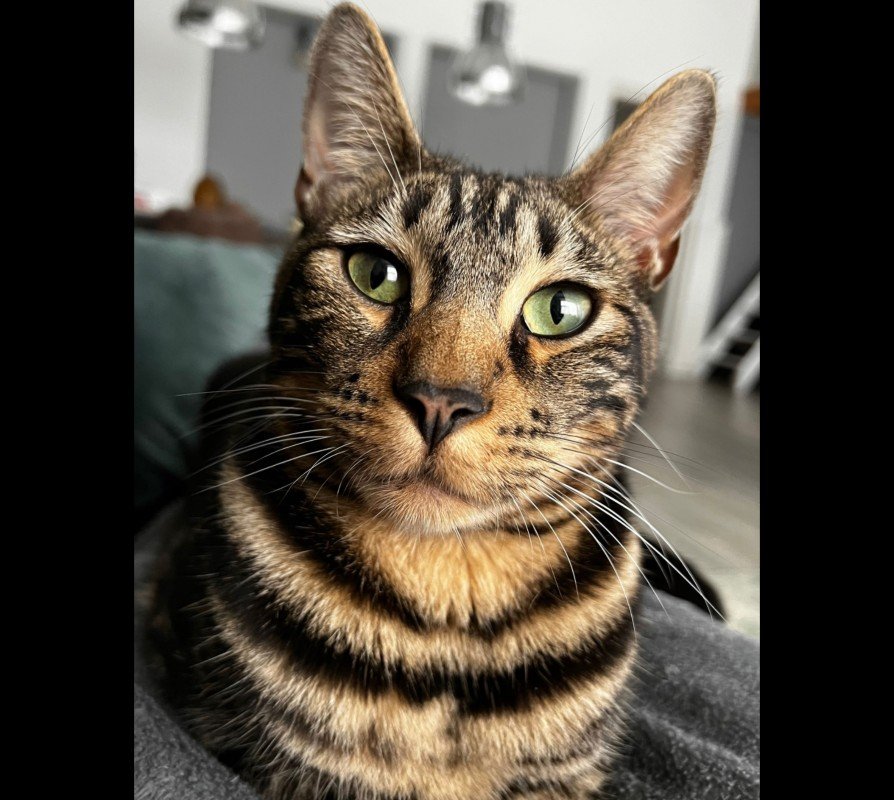 Tymo