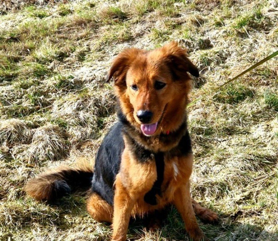 Bailey