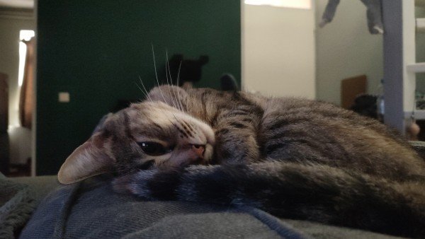 Lola