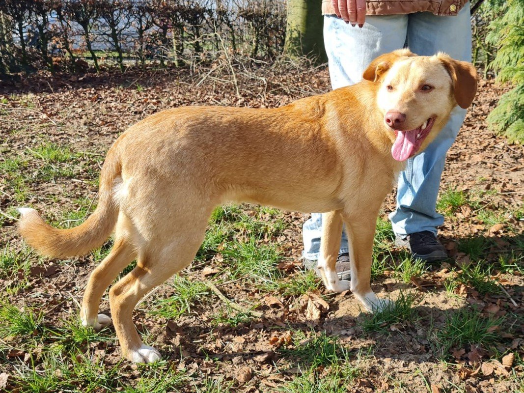 Sergiu