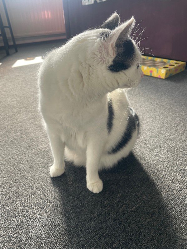 Mimie