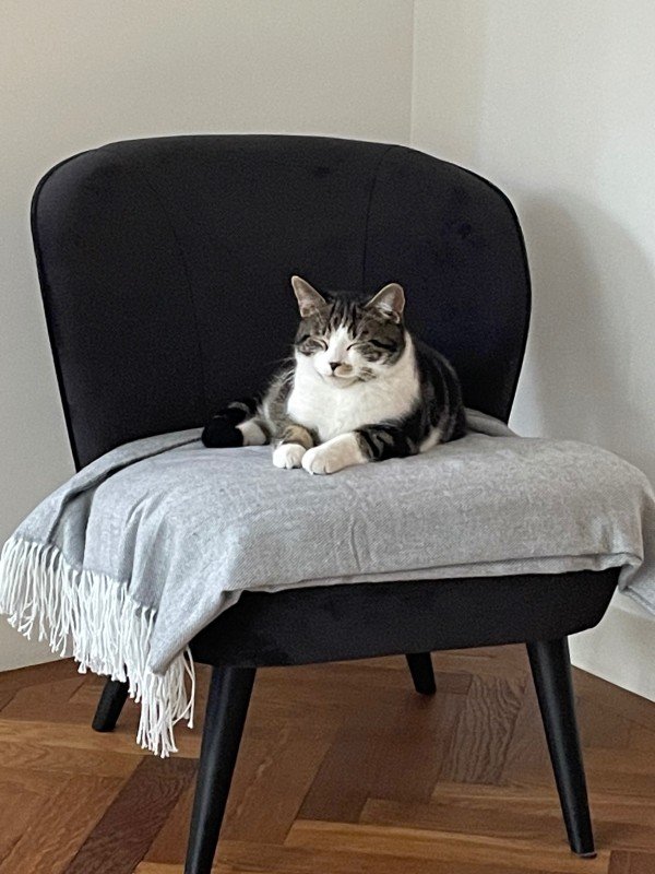 Gijs