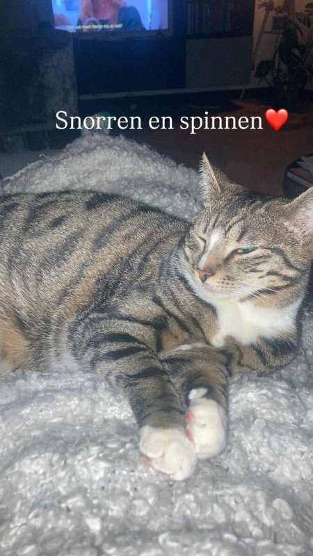Didi