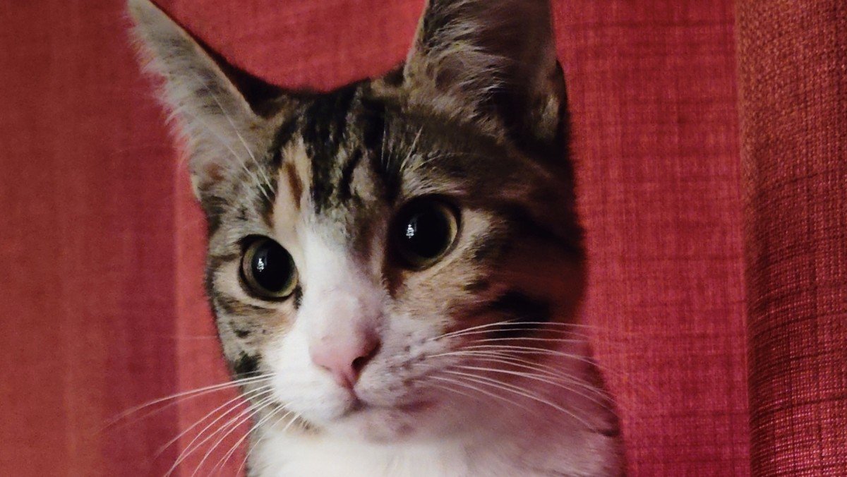 Billy