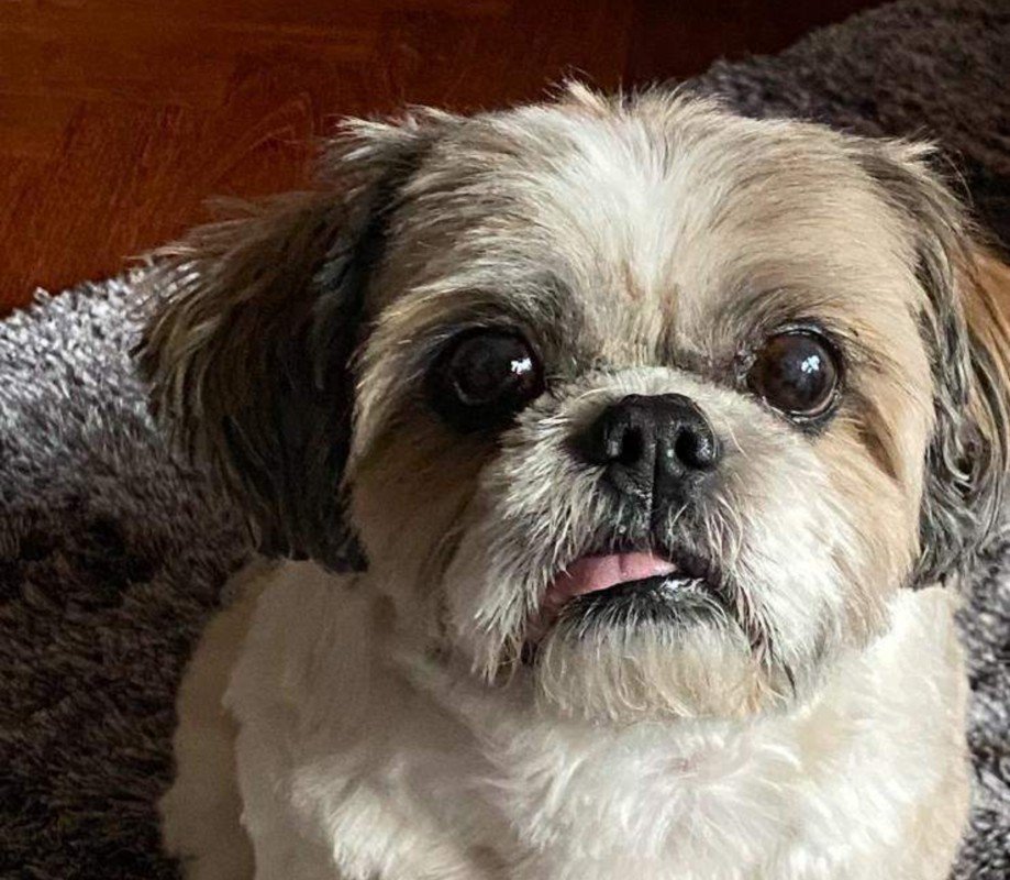 Zoëy