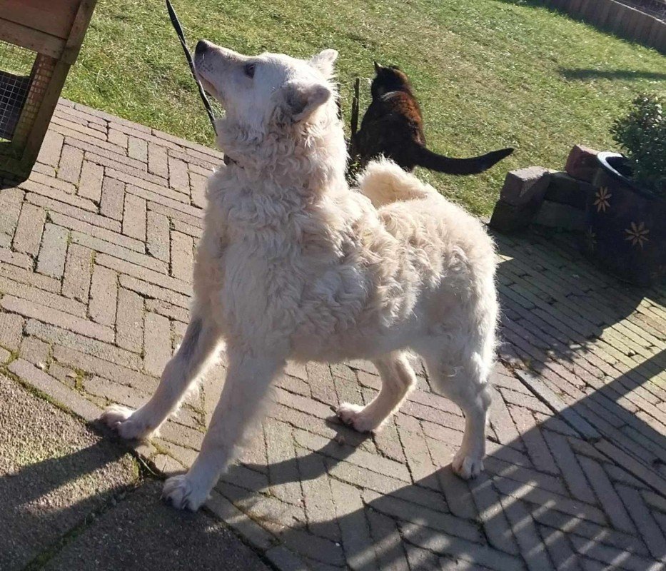 Lolita