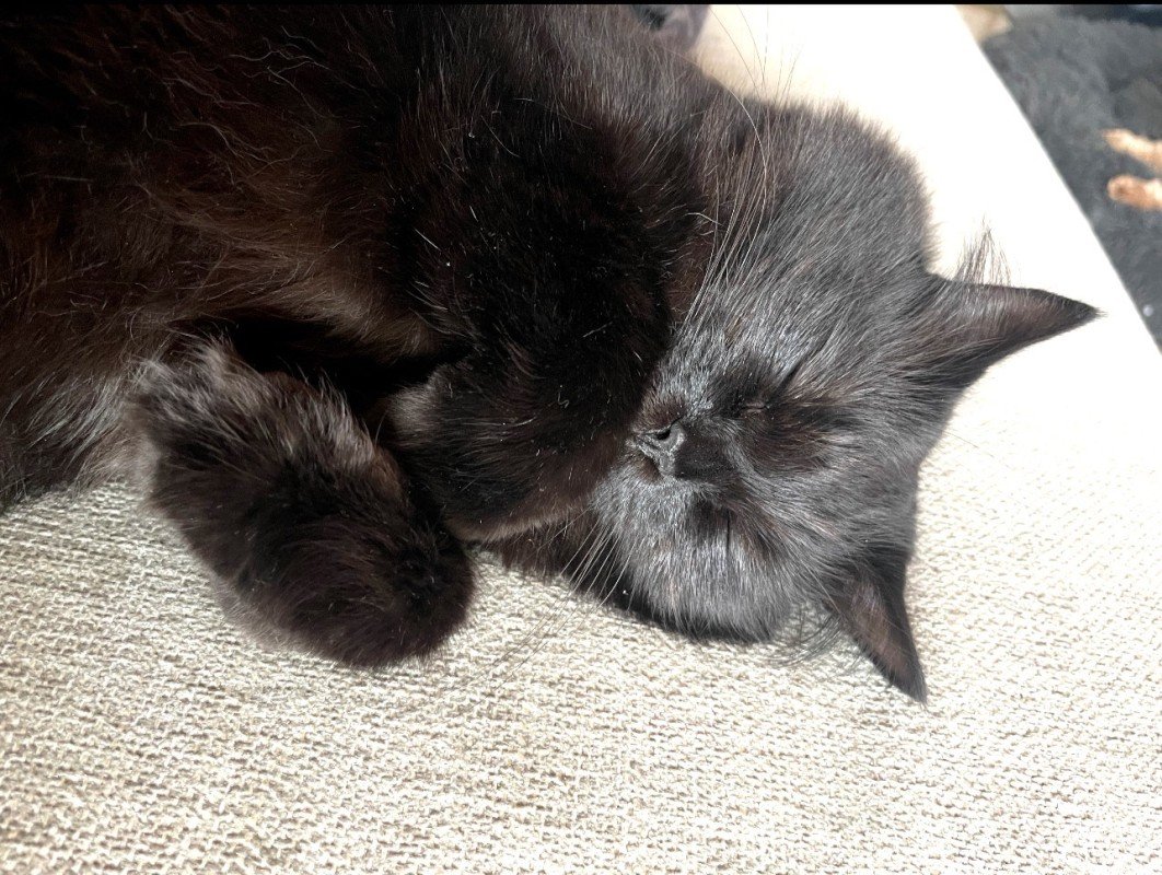 Ernie