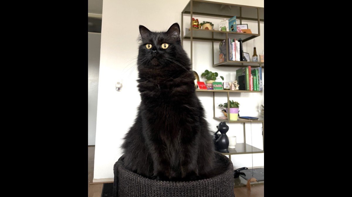 Ernie