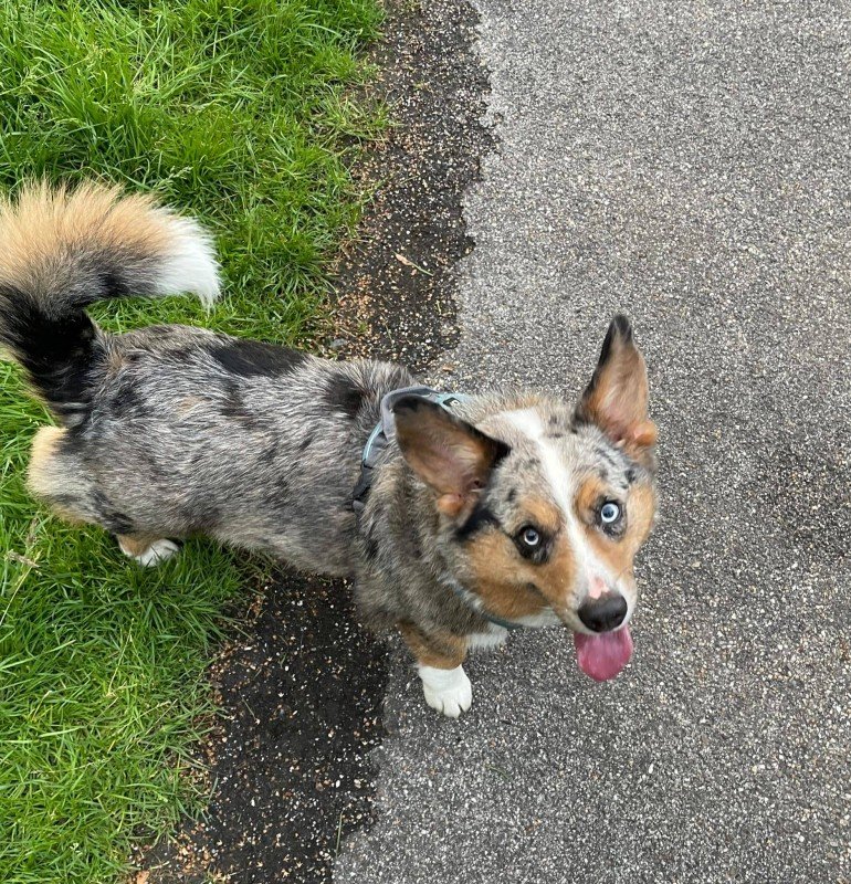 Skye