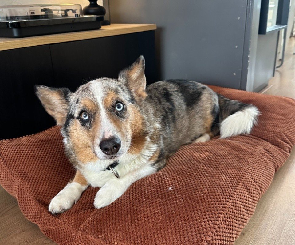 Skye