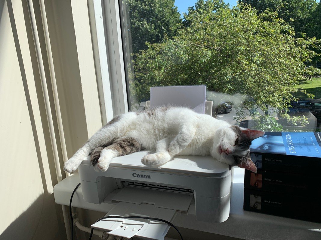 Harvey