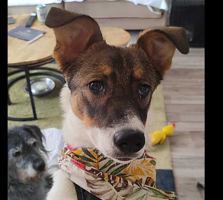 Coco