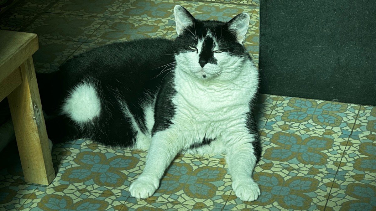 Froukje