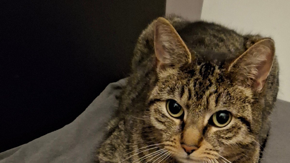 Boris